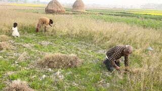 farming