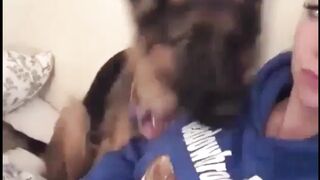 Funny Pets