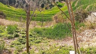 Good Afternoon To All Friends
