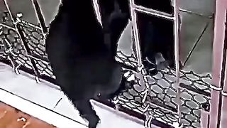 There's a lot to learn