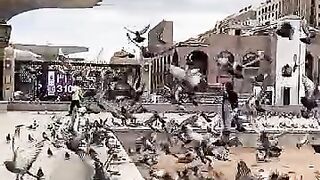 سبحان اللّٰہ