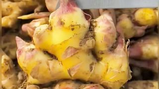 Very nice corn
