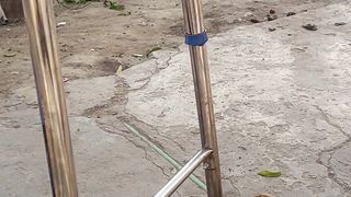 Animal vedio