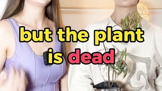 But the plant is dead