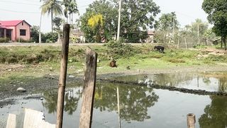 pond @ village