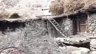 Me and My sister Shirazi Village Vlogs Village Shorts