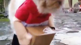 Lika liku kurir