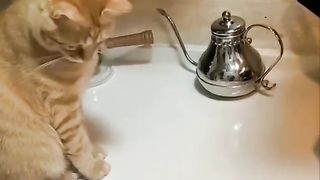 Will he drop the egg or not?