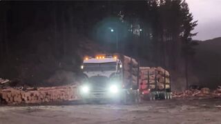 the most difficult route for a wood transport truck || episode3|| Unique mechanics