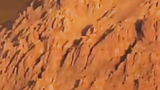 factsfactsfacts