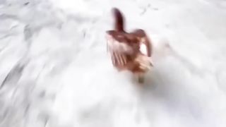chicken eat chiken?