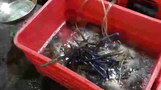 Making Delicious Grilled Lobster