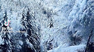 La naturel