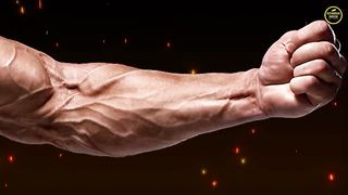 बड़े और तगड़े Forearms घर पे कैसे बनाये सिर्फ़ 7 दिनों मे
