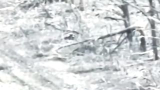 How the RUSSIAN MILITARY shot down a drone with a stick