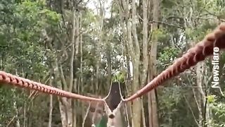 What would you do in this situation?