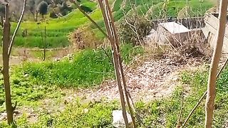 Beautiful Kpk Dir lower