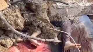 Regardez ce video 1115 Gaza aujourd'hui