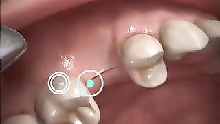 Dentist
