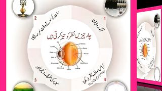 اسلامی معلومات Like share follow