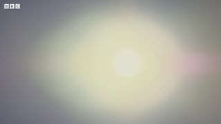 Brutal Stallion Mating Fight