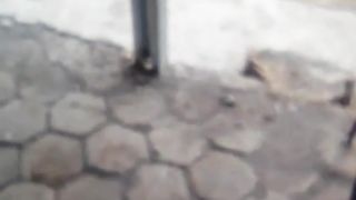 Persiapan NPK Phonska plus untuk pemupukan air kolam
