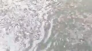 Kolam luas isi ikan sedikit begini resikonya