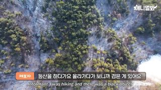 The reason why an eagle who lost its wings found the mister again