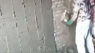 What happens during the renovation of the apartment