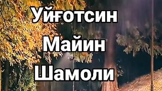 Хайрли тун