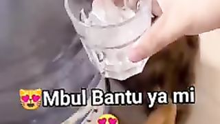 Kitten Belang Memang Pinter