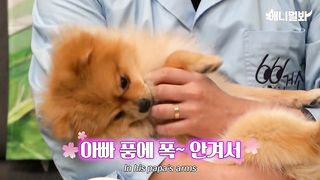 If Your Cat's Coughing, Suspect THIS