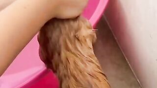 Kocheng Oyen Habis Mandi Langsung Ngantuk