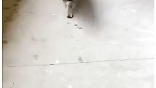 Mpuuuus Belang Pulang Mengadu Sama Mommy