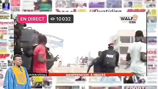 manifester