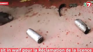 manifestation