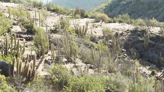 Parasite in the Poo | The Green Planet
