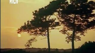 Babangida - Constructor