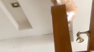 Lamp Operator