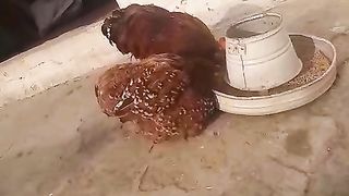 We are drinking water from a pot
