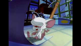 Animaniacs   Best of Pinky and the Brain ????????   Classic Cartoon Compilation   WB Kids