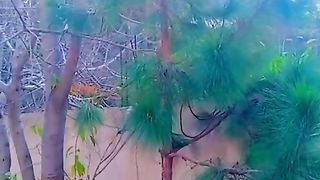 مدرسے میں