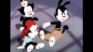 Animaniacs   The Warners' First Session with Dr. Otto   WB Kids