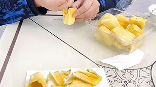 Funny video 2024