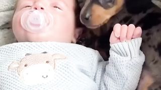 Cutie babies with their pets