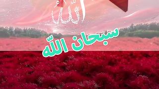 Beautlfull video Qurani verses shorts Video share plz subscribe and watch my video  pageforyou_ trending video 100 #unfrezzmyaccount #pageforyou_