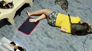 Cat are so smart viral video. Must Watch.