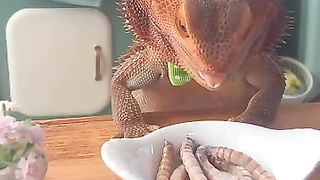Yummy, food is here viral video. Must Watch.