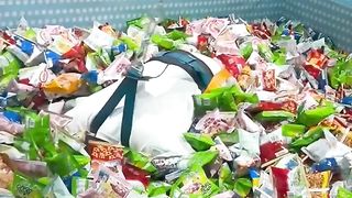 So cute video