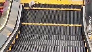 Nice video